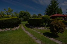 Garden Renovation